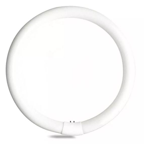 General Electric FC8 T9 Circline Daylight White Fluorescent Bulb